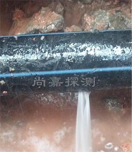 新郑消防管道漏点探测